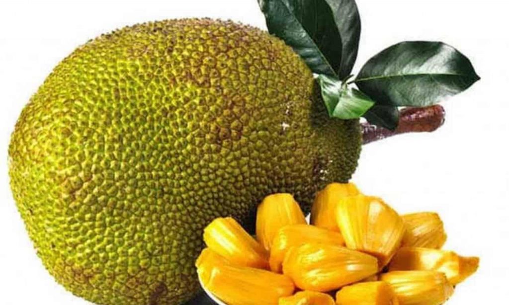 Nangka Madu –